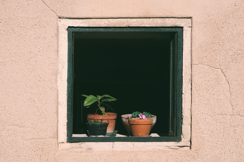 Obscured Insights